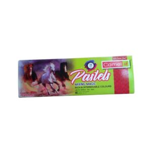Camel Pastels 24 Shades Colour Chalk Box